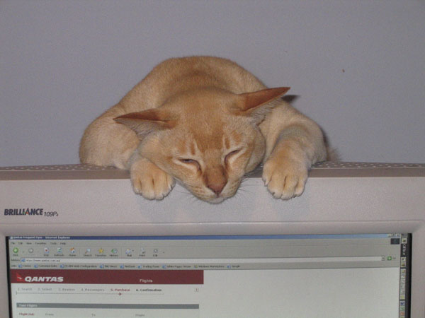 Seamus_0020_RJ